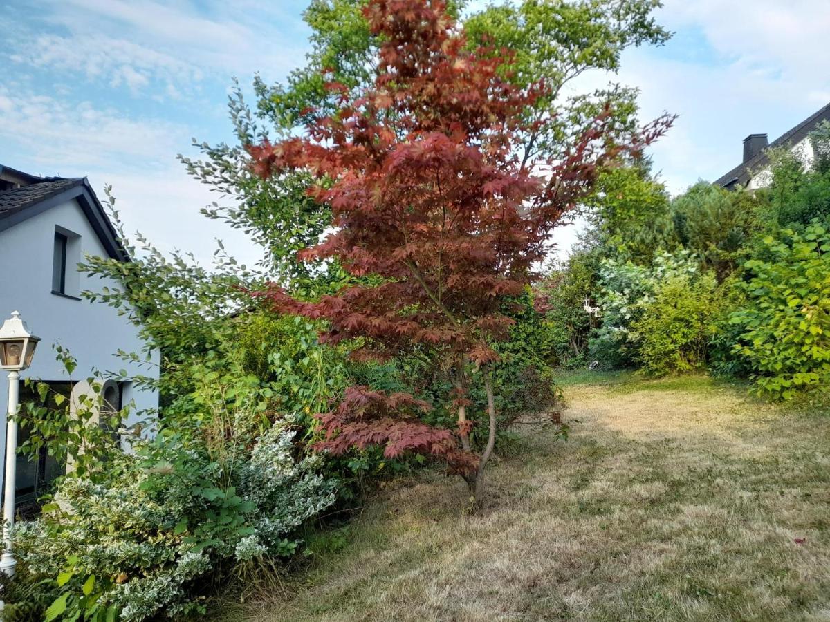 Haus Edda - Ferienwohnungen Mit Garten Und Schlossblick Marburg Exteriér fotografie